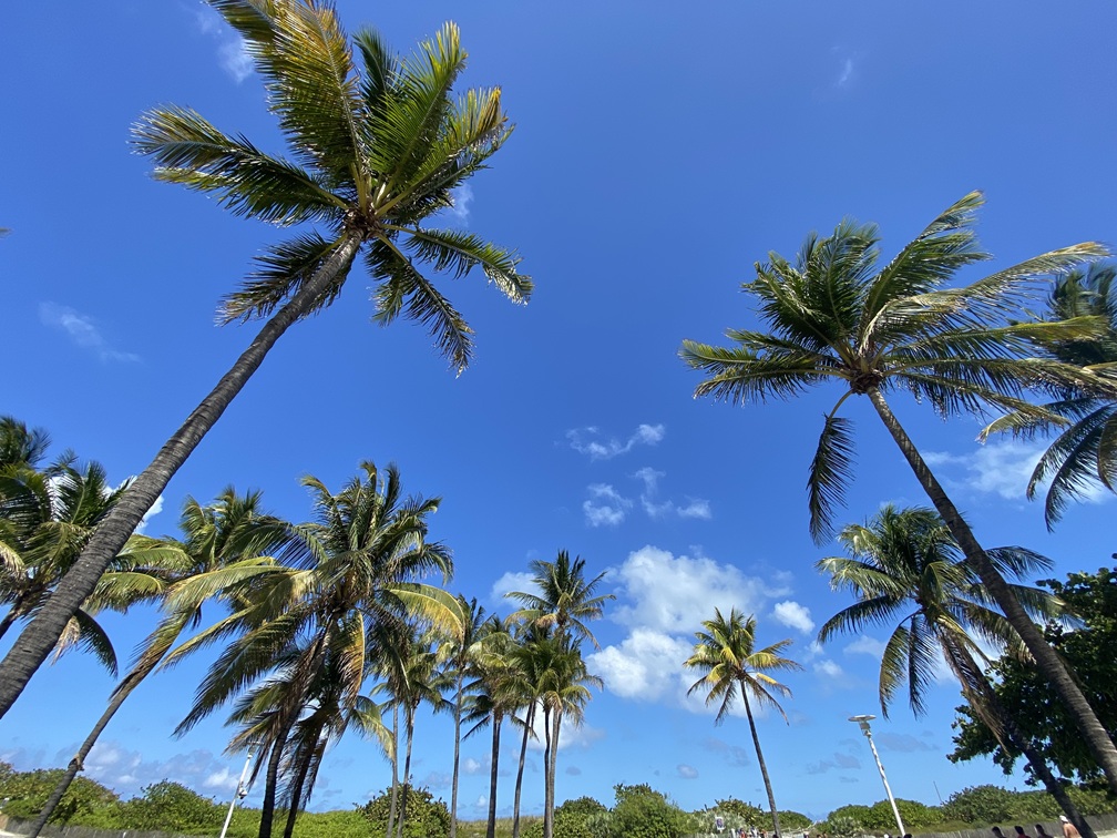 Miami